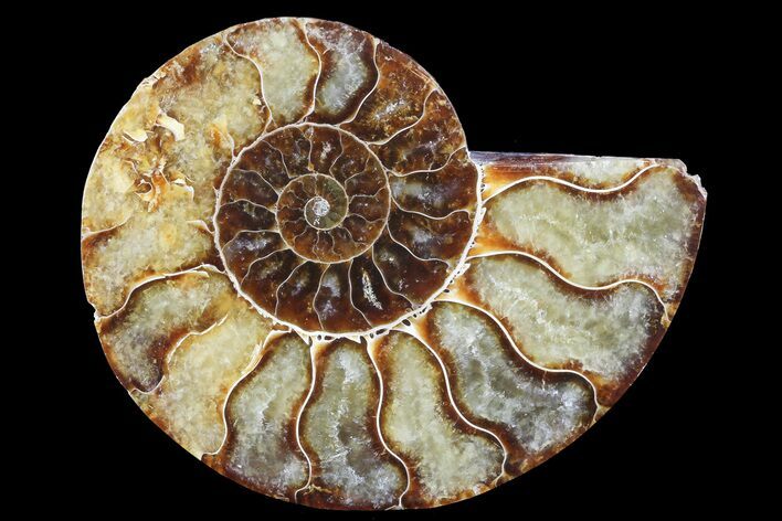 Agatized Ammonite Fossil (Half) - Madagascar #83801